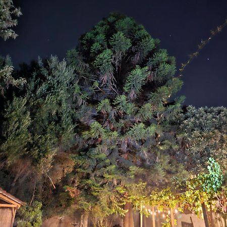 La Araucaria Cabana Con Tinaja San Felipe Εξωτερικό φωτογραφία