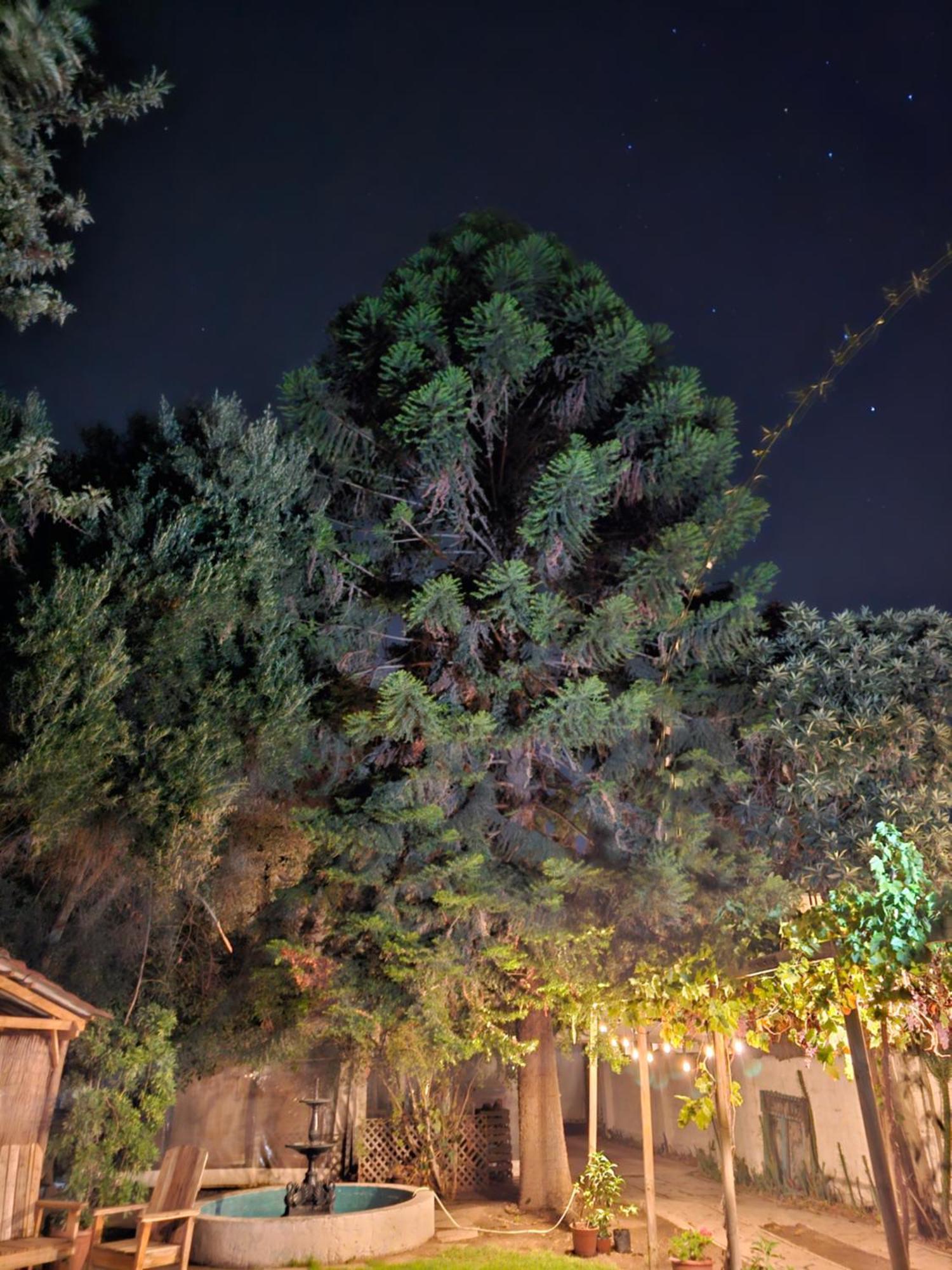 La Araucaria Cabana Con Tinaja San Felipe Εξωτερικό φωτογραφία