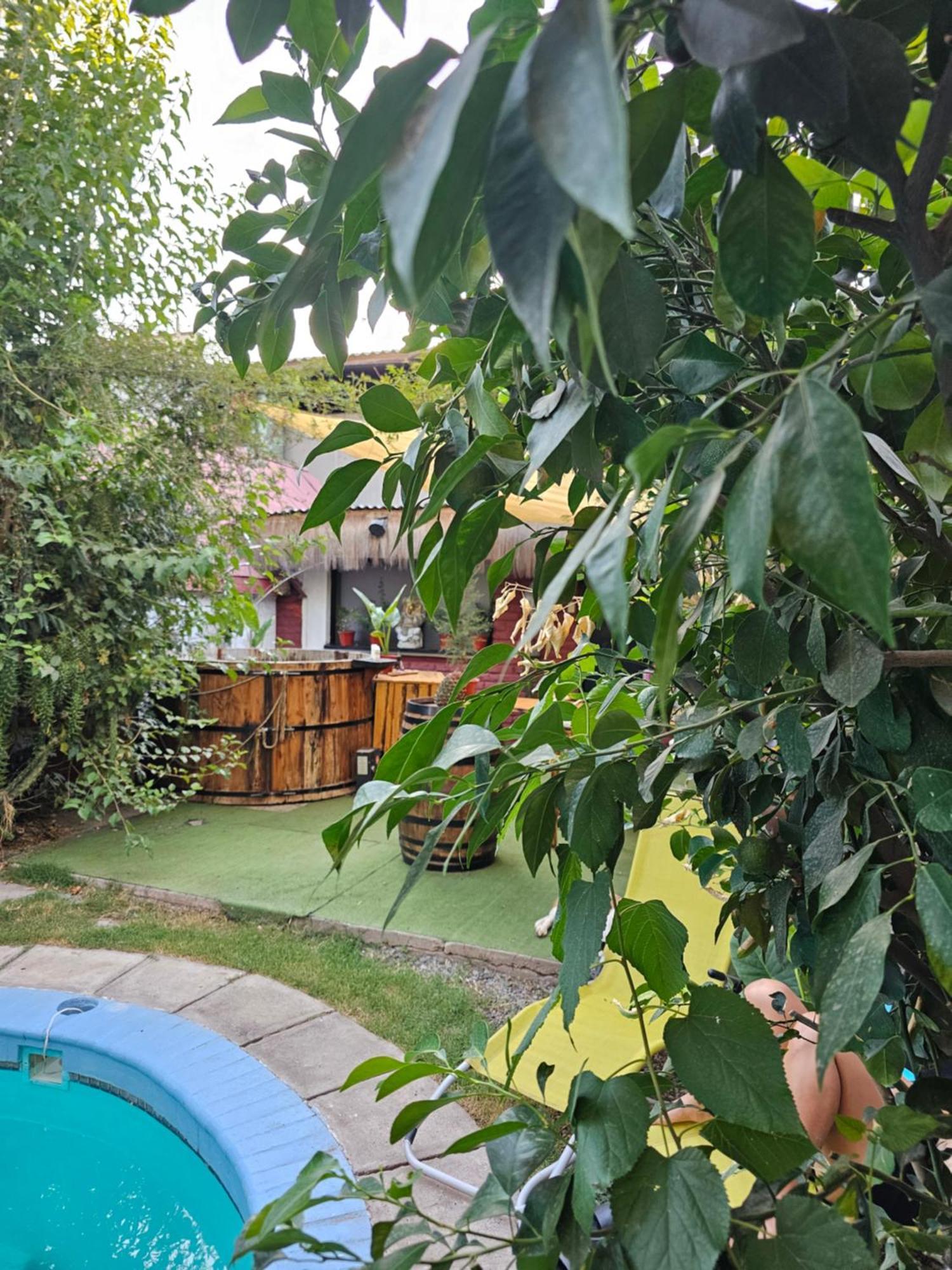 La Araucaria Cabana Con Tinaja San Felipe Εξωτερικό φωτογραφία