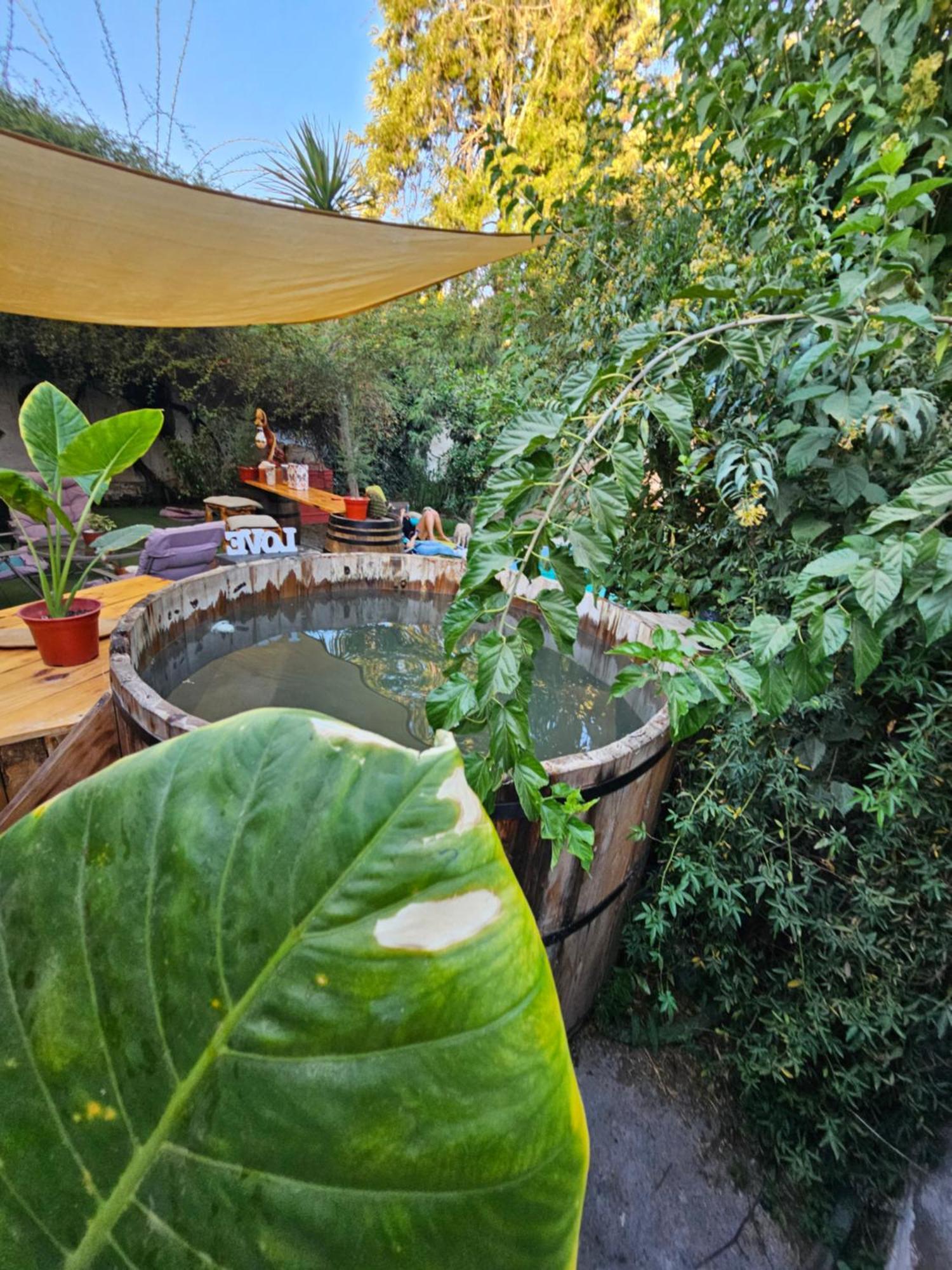 La Araucaria Cabana Con Tinaja San Felipe Εξωτερικό φωτογραφία