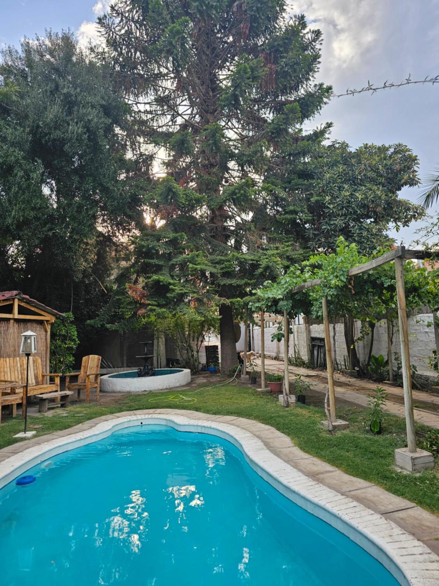 La Araucaria Cabana Con Tinaja San Felipe Εξωτερικό φωτογραφία